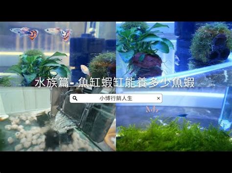 魚缸密度計算|魚缸計算機 